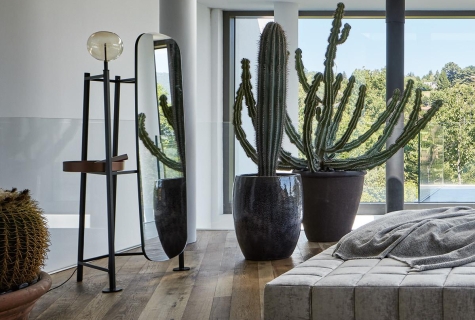 Salom by simplysofas.in